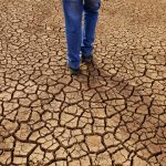 aproape 38 000 de decese cauzate de schimbarile climatice inregistrate in europa in vara anului 2022 care este situatia din romania 67223b78d0ab9