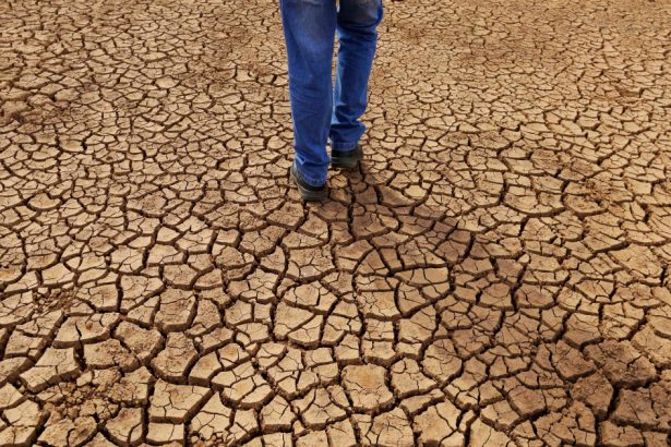 aproape 38 000 de decese cauzate de schimbarile climatice inregistrate in europa in vara anului 2022 care este situatia din romania 67223b78d0ab9