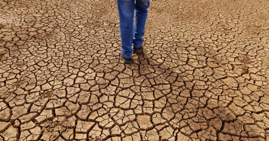 Aproape 38.000 de decese provocate de schimbările climatice au fost raportate în Europa în vara anului 2022. Care este contextul din România? 1 aproape 38 000 de decese cauzate de schimbarile climatice inregistrate in europa in vara anului 2022 care este situatia din romania 67223b78d0ab9