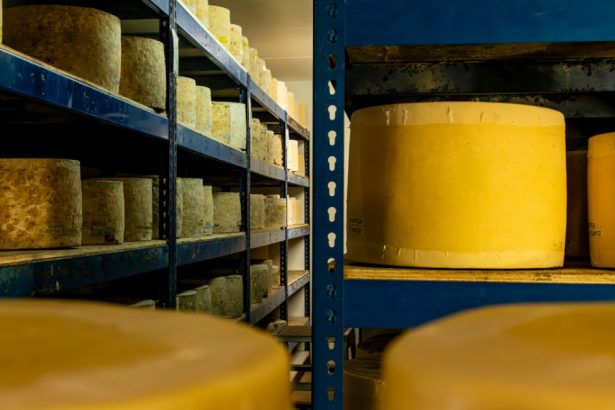 barbat arestat in marea britanie in legatura cu furtul a 22 de tone de cheddar jamie oliver s a implicat in gasirea lui 6723ba5fcaae2
