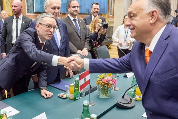 declaratia de la viena viktor orban si extrema dreapta austriaca fac front comun pentru a submina influenta comisiei europene 6723d4e45ca80
