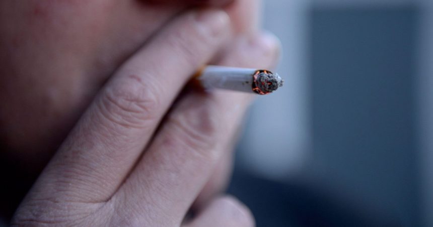 Studiul evidențiază un nivel crescut de bacterii orale nocive pentru sănătate, în rândul fumătorilor și al celor care vapează. 1 nivel mai ridicat de bacterii orale daunatoare care pot afecta sanatatea pentru fumatori si cei care vapeaza arata un studiu 67213c90872b5
