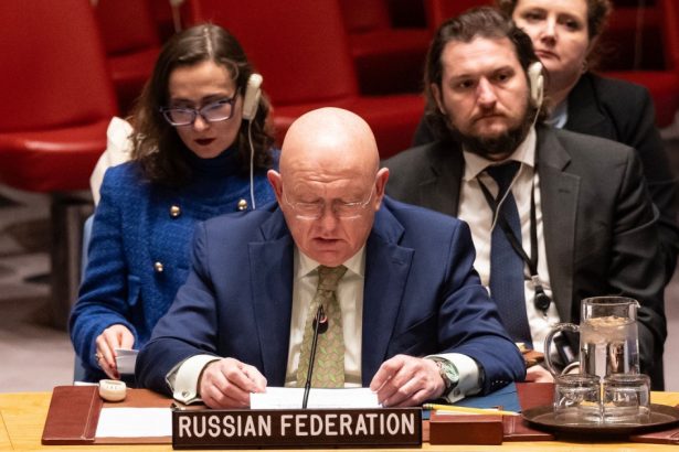 tupeu rusesc la onu ambasadorul rusiei daca occidentul ajuta ucraina de ce pe noi nu ne poate ajuta coreea de nord 672358712400f