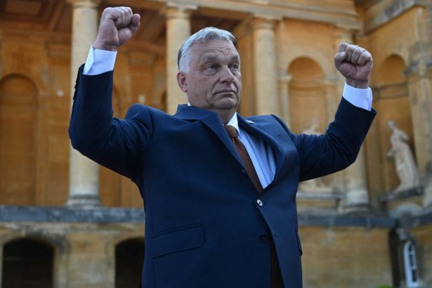 ungaria a lipsit de la o reuniune nato care s a tinut chiar la budapesta frustrarea fata de orban in crestere vorbeste de la sine 67232918de036