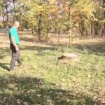 Urmărire cu focuri de armă într-o pădure din Mehedinți: pădurar agresat de un hoț de lemne 3 video urmarire cu focuri de arma intr o padure din mehedinti padurar batut de un hot de lemne 6721d9092b9ab