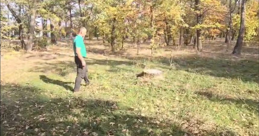Urmărire cu focuri de armă într-o pădure din Mehedinți: pădurar agresat de un hoț de lemne 1 video urmarire cu focuri de arma intr o padure din mehedinti padurar batut de un hot de lemne 6721d9092b9ab