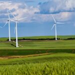 11 de parcele de teren din cogealac si fantanele detinute de eolica dobrogea srl scoase iar la licitatie intr un dosar de executare silita 6746a69fc2ba3