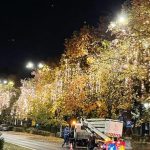 a inceput montarea decoratiunilor pentru craciun in bucuresti nicusor dan vom avea 3 000 de elemente luminoase noi 6730e119d8e1f