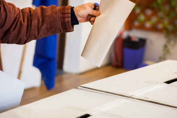 alegeri parlamentare 2024 ce vedete s au inscris pe listele de candidati nume controversate care vor un loc in parlamentul romaniei 6746b3492bb2a
