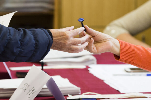 alegeri prezidentiale 2024 turul i sectiile de vot din tara se deschid maine dimineata date esentiale despre scrutin 6742394c7a463