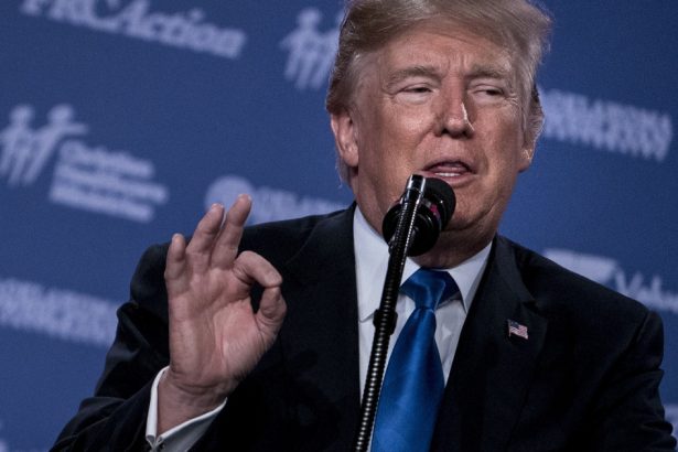 alegeri sua 2024 ce poate insemna administratia trump 2 0 pentru comert migranti schimbarile climatice si masinile electrice 672b748cb4a2c