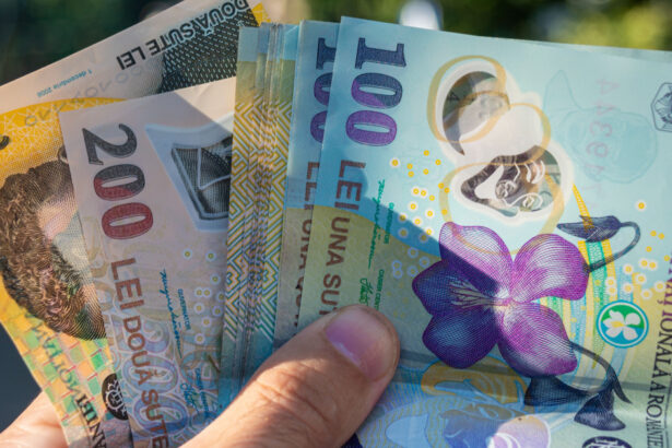 analist economic o criza pe scena politica poate fi ca bomboana pe coliva economica 6748725b5ed1a