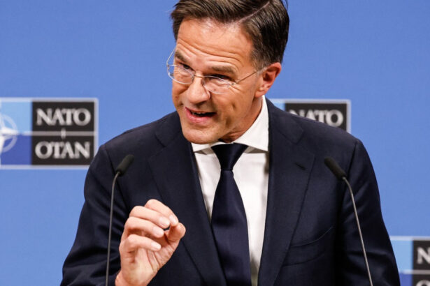 avertismentul lui rutte daca putin isi atinge obiectivele in ucraina nu se va opri acolo 673c782511cfd