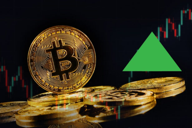 bitcoin a atins un nou record si s a apropiat de 100 000 de dolari 67417edf37510
