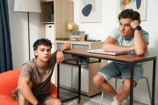 bogdan si stefan iancu frati in viata de zi cu zi dar si serialul ana mi ai fost scrisa in adn am fost amandoi incantati 6749c9a7e2130