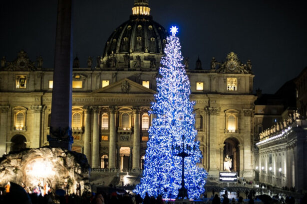 bradul vechi de 200 de ani care va decora piata sfantul petru din roma a fost taiat in ciuda protestelor explicatiile vaticanului 673cd37064de5