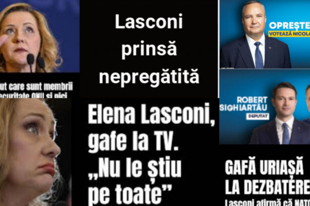 campanie a pnl impotriva elenei lasconi reclame platite de o firma a unui liberal care a dat lovitura in anul electoral 2024 673f109c1a985