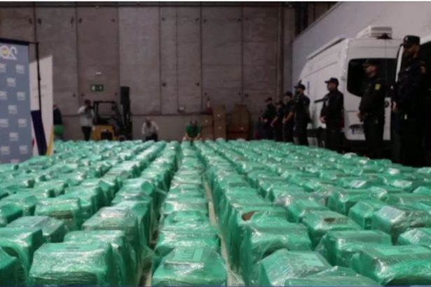 captura record de cocaina in spania 13 tone de droguri au fost descoperite intr un container cu banane 672c81ebdf661