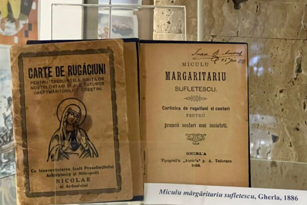 cartile de rugaciuni abecedare ale credintei si paine pentru suflet biblioteca judeteana constanta 6746ef94b011d