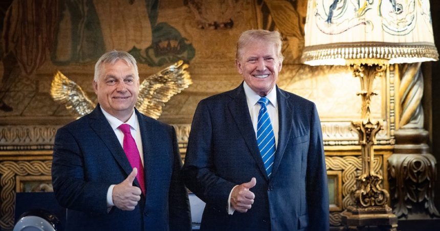 Ce au discutat Viktor Orban și Donald Trump înainte de vizita lui Zelenski la Budapesta: „Avem planuri mari” 1 ce au discutat viktor orban si donald trump inainte de vizita lui zelenski la budapesta avem planuri mari 672c65c602ef8