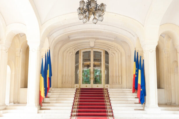 ce averi au candidatii la cotroceni de la investitii financiare de 23 milioane de euro la venituri zero sau bani din botezuri 673b4c1f0ef56