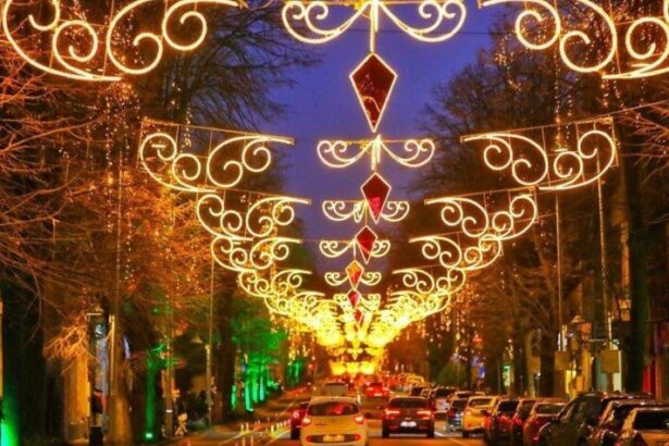 ce firma vrea sa se ocupe de iluminatul festiv din orasul cernavoda a fost depusa o singura oferta pentru licitatia de 12 milioane de lei 6746b4af045b3