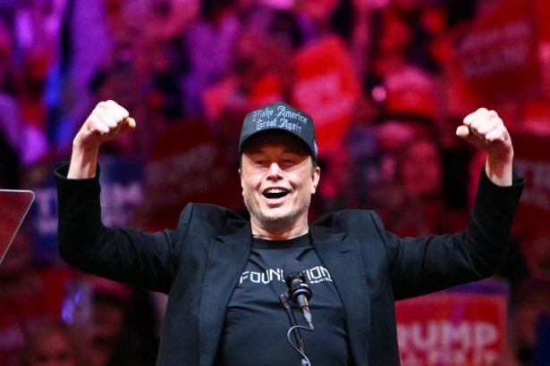 ce poate castiga elon musk dupa sprijinul masiv pe care i l a acordat lui donald trump 672b99f988c13