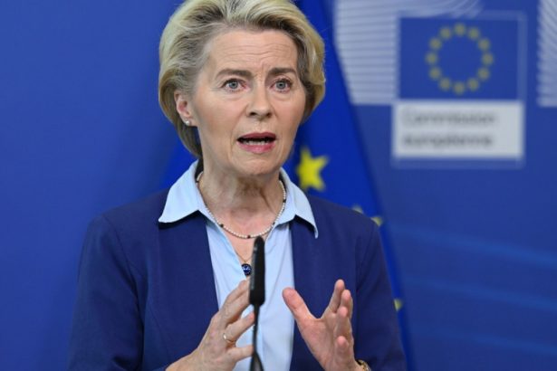 ce propunere i a facut presedinta comisiei europene lui donald trump in legatura cu aprovizionarea cu gaze lichefiate a ue 672e5225b34aa
