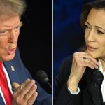 ce vor face democratii daca trump isi proclama prematur victoria in alegerile prezidentiale suntem pregatiti 67253ac8bedbb