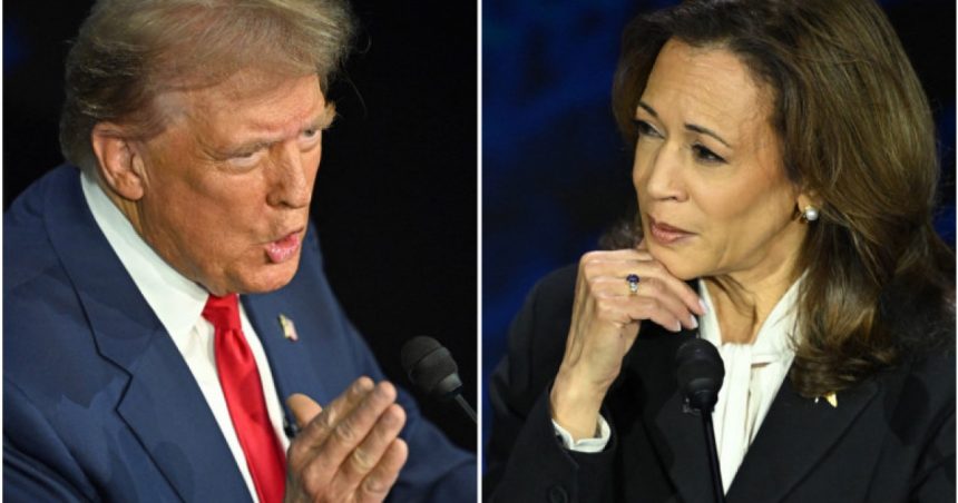Ce măsuri vor lua democrații dacă Trump își anunță anticipat victoria în alegerile prezidențiale. „Suntem pregătiți” 1 ce vor face democratii daca trump isi proclama prematur victoria in alegerile prezidentiale suntem pregatiti 67253ac8bedbb