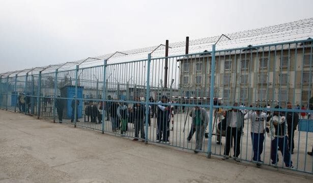 constanta traficant de droguri de mare risc condamnat la 5 ani si 4 luni de inchisoare 67484e751d0b6