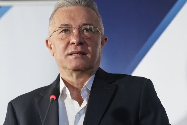 cristian diaconescu acuzat ca si a insusit conceptul organizatiei code for romania reactia candidatului 672bba9f06eec