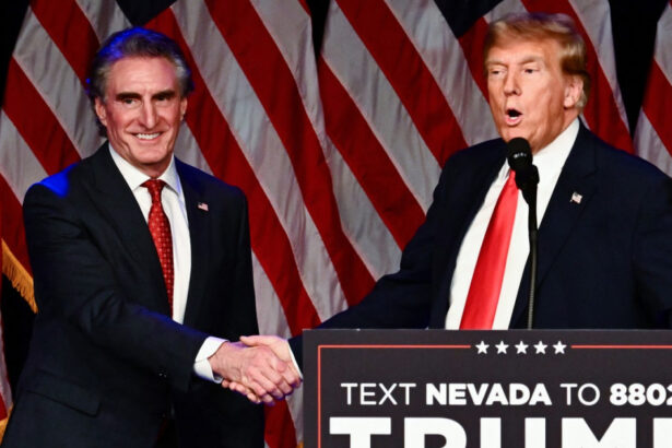 donald trump anunta un consiliu national care va aduce dominatia energetica a statelor unite cine il va conduce 67386e8ca6d4c