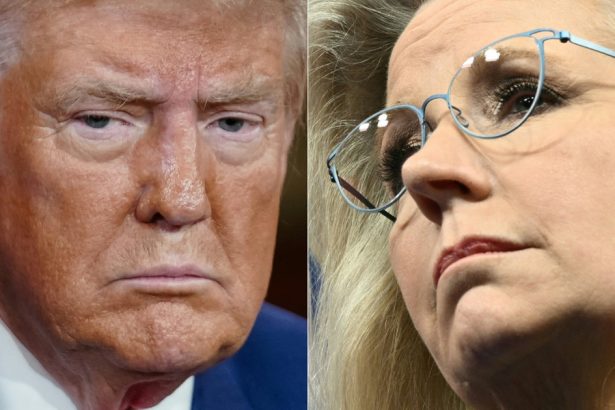 donald trump o face proasta pe fiica lui dick cheney si spune ca aceasta ar trebui adusa in fata plutonului de executie 6724f928d502d
