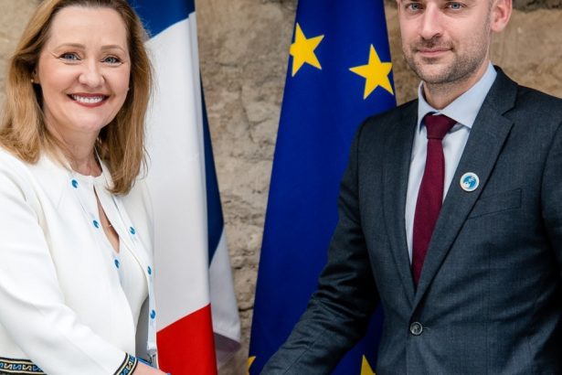 elena lasconi intalnire cu ministrul francez de externe ce a discutat sefa usr cu jean noel barrot 6733253b07dbc