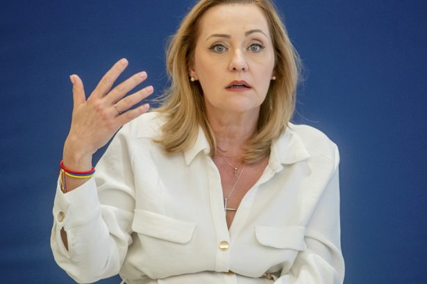 elena lasconi mesaj despre razboiul din ucraina la forumul pentru pace de la paris 6732210622c8f