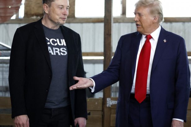 elon musk a inceput deja sa i enerveze pe apropiatii lui donald trump se poarta de parca ar fi copresedinte 67362f60d7eec