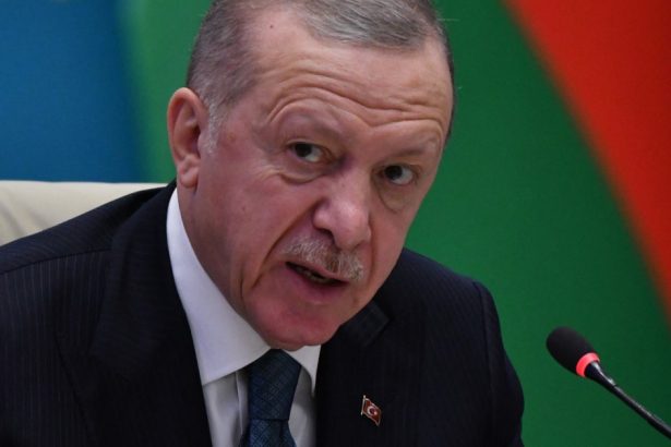erdogan vrea sa slabeasca influenta rusiei in fostele state sovietice din asia centrala prin unitatea lumii turcice 672b61a1182d7