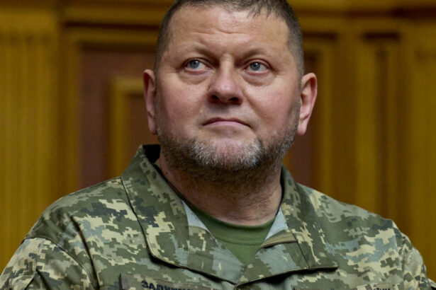 fostul comandant al armatei ucrainene europa nu este pregatita pentru un razboi prelungit cu rusia 6742c3b6eb455