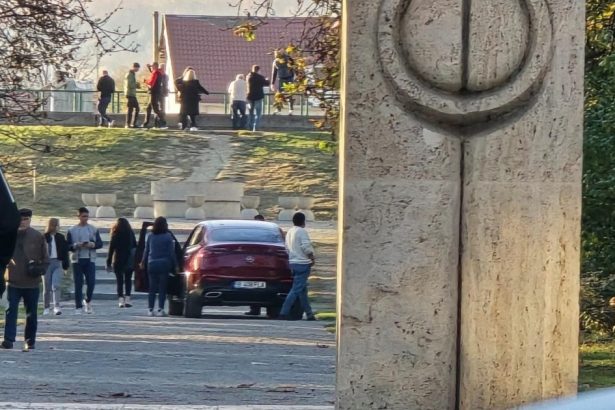 foto o soferita a ajuns in parcul central din targu jiu a trecut pe sub poarta sarutului si s a oprit langa masa tacerii amenda primita 672e6e429806a