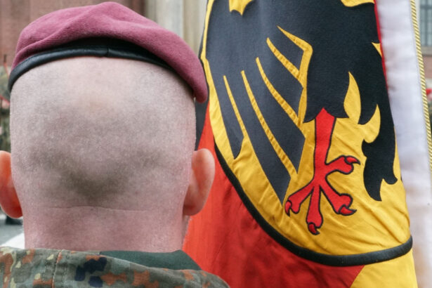 frankfurter allgemeine zeitung plan de pregatire a germaniei in cazul unui razboi cu impact mai direct decat invazia din ucraina 673dd4114230c