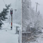 galerie foto traficul feroviar afectat de conditiile meteo extreme copaci cazuti pe sine in brasov si iasi 6740febdd047a
