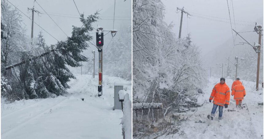 galerie foto traficul feroviar afectat de conditiile meteo extreme copaci cazuti pe sine in brasov si iasi 6740febdd047a