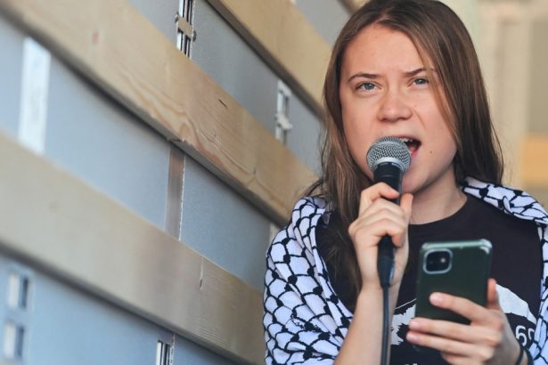 greta thunberg mesaj dur despre kamala harris si donald trump inainte de alegerile prezidentiale au sange pe maini 67252c8baa023