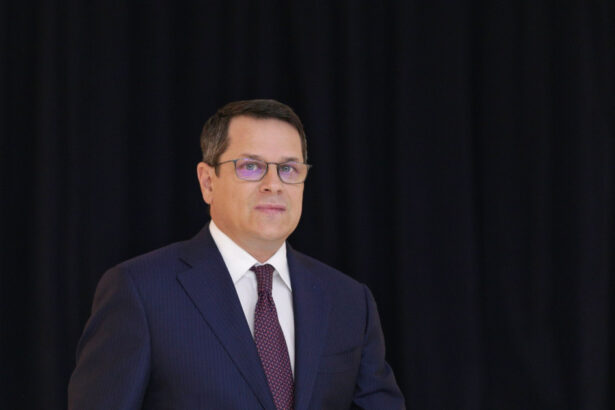 hellvig n am reintrat in pnl pentru a l concura pe bolojan alegeri care se anuntau de rutina s au transformat in unele cu miza uriasa 67472cb0a809d