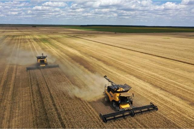 Holde Agri Invest - suspendarea planurilor de extindere a avut rezultate 1 holde agri invest suspendarea planurilor de extindere a dat rezultat 6748375706dc5