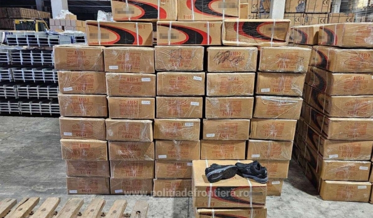 incaltaminte contrafacuta in valoare de un milion de euro descoperita de politistii de frontiera constanteni intr o remorca sosita din georgia 673ce9723bb01