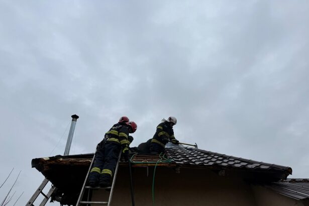 incendiu la o casa din judetul tulcea mai multe autospeciale intervin pentru stingerea flacarilor 6746e13d5142a