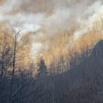 incendiul de vegetatie din valcea care a afectat 12 hectare de padure de fag si stejar a fost localizat 673e056a82c8e