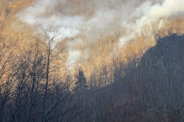 incendiul de vegetatie din valcea care a afectat 12 hectare de padure de fag si stejar a fost localizat 673e056a82c8e